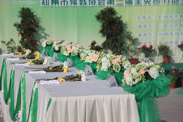 1491197100416504.jpg IMG_5151.jpg